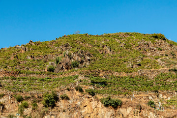 Ribeira Sacra, Galice, Espagne