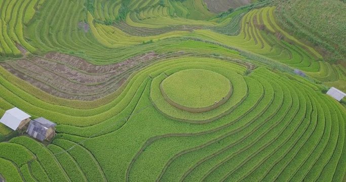 Vietnam landscapes. Rice fields on terraced of Mu Cang Chai, YenBai, Vietnam. Royalty high-quality free stock image of beautiful terrace rice fields prepare the harvest at Northwest Vietnam