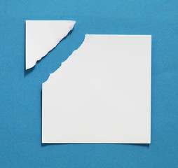Torn paper background, empty space for text.