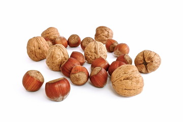 walnuts and hazelnuts on white background