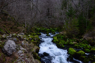 Near Bovec, Slovenia is a source of a cold karst creek named Gljun (izvir Gljuna). Its waters come from the high Kanin Mountain and come to the surface in an interesting spring. 