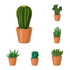Fototapete Kaktus im Topf Vektordesign des Kaktus- und Topfsymbols. Sammlung von Kaktus- und Kakteenvorrat-Vektorillustration.