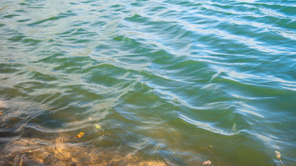 Fototapeta na wymiar water shore ripples
