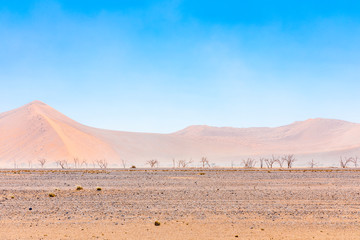 Fototapeta na wymiar Sandstorm in Sossusvlei, Namibia.