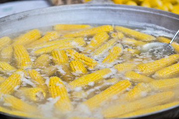  boiled corn in a larger cauldron