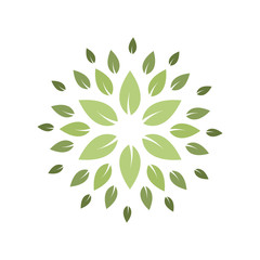 Round Pattern Green Leaves Nature Circle Decoration Element Vector
