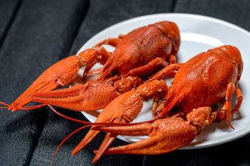  large appetizing cooked crayfish on a white plate