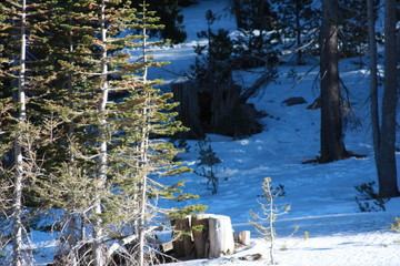 Winterscape
