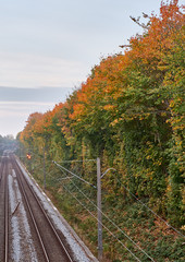 Obraz premium Train tracks in the fall