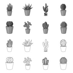 Vector design of cactus and pot sign. Collection of cactus and cacti vector icon for stock.