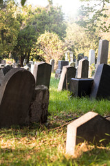Jüdischer Friedhof  - 229777839