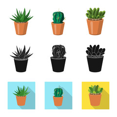 Vector design of cactus and pot icon. Collection of cactus and cacti vector icon for stock.