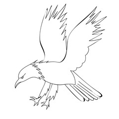book coloring eagle, vector