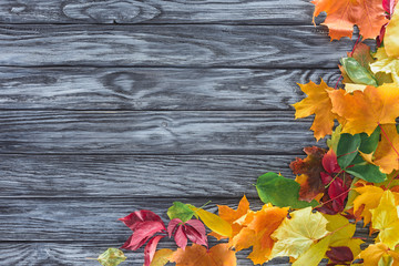 top view of autumnal leaves on grey wooden surface