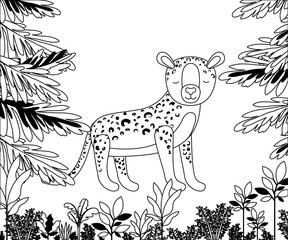 wild cheetah in the jungle scene