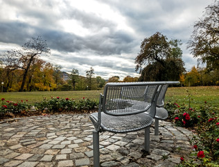 bench in the park on a cloudy day