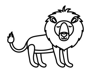 wild lion animal isolated