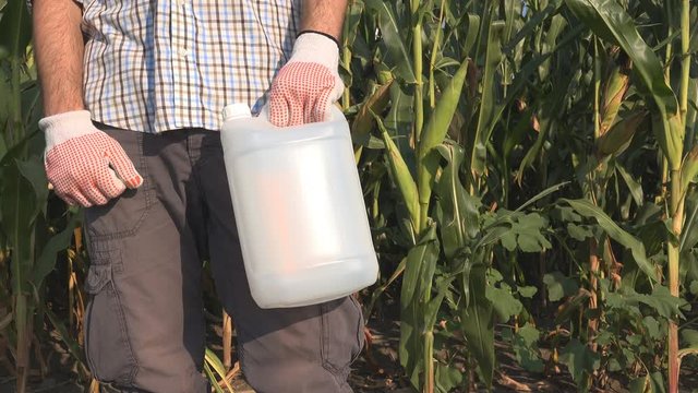 Farmer holding pesticide chemical jug in cornfield. Blank unlabeled bottle as mock up copy space for herbicide, fungicide or insecticide used in corn crop farming.