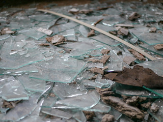 Shards of glass lying on the floor between dirt, destroyed and broken by vandalism