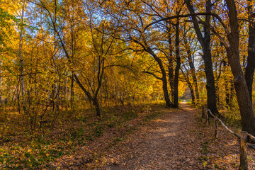 Rural landscape - path with a wooden fence and autumn trees