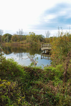 Rustic Wooden Fishing Pier Over Still Calm Pond With Green and Yellow Autumn Trees and Grasses With Blue Sky