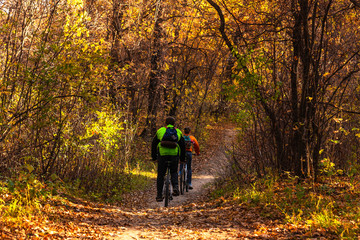 Obraz premium People ride bicycles in the autumn forest