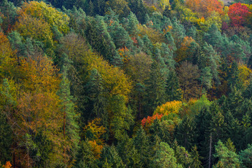 Mischwald im Elbsandsteingebirge von oben fotografiert