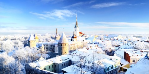 Tallinn city. Estonia. Snow on trees in winter, panoram view