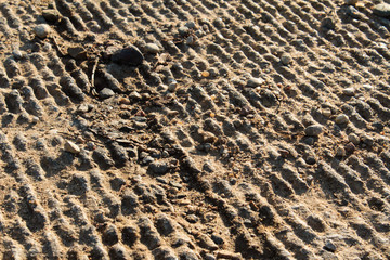 Rough Grey Sunlit Concrete Background Texture With Lines and Small Stones