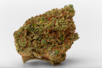 Close up of yumbolt strain hybrid indica dominant medical marijuana and recreational marijuana flower bud isolated in white background