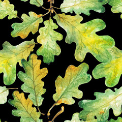 Bright green watercolor autumn oak leaves. pattern. Watercolor
- 229782683