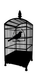 oiseau en cage, prison, ombre chinoise, incarcérer, détenu, architecture, silhouette, clôture, ombre, noir