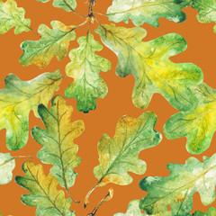 Bright green watercolor autumn oak leaves. pattern. Watercolor
- 229782898