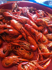 Boiled Crawfish