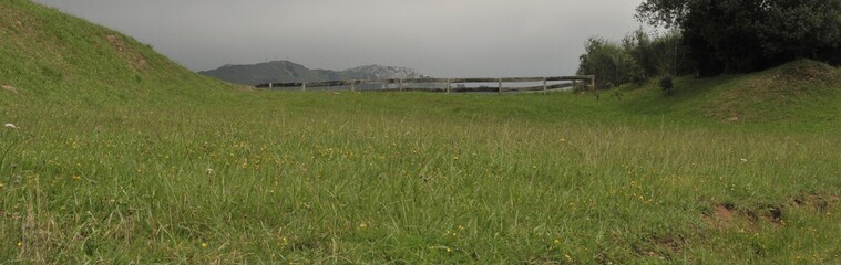 Prado de monta&ntilde;a