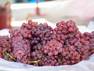 Champagne Grapes Ready to Eat.