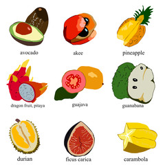 Some types of exotic fruits from different countries