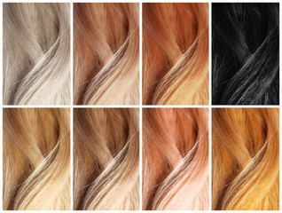 Set with color hair samples. Beauty and professional treatment