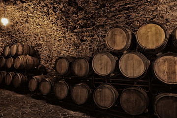 Wine cellar interior with large wooden barrels