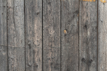 Fototapeta premium wooden texture background