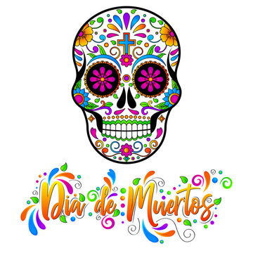 Dia de muertos, Mexican Sugar skulls, Day of the dead Halloween vector illustration on white background