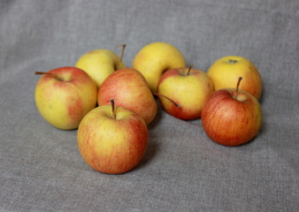 Several apples on gray background