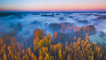 Aerial panoramic view of fog at Autumn, Lithuania - obrazy, fototapety, plakaty