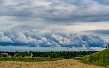 storm clouds over the forest