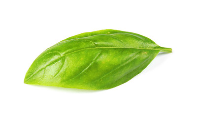 Fresh green basil leaf on white background