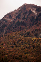 Autumn in the mountains. Colorful leaves on the trees. Beautiful autumn landscape