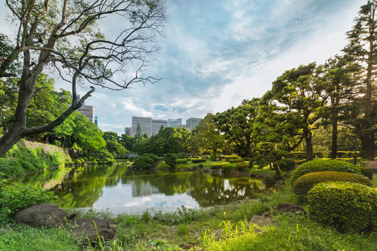 Shinji Pond in the public garden of Hibiya Park bordering the southern moat of the Imperial Palace. The word Shinji is composed of 2 ideograms which are the heart and the form. 