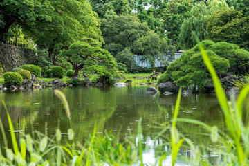 Fototapeta na wymiar Shinji Pond in the public garden of Hibiya Park bordering the southern moat of the Imperial Palace. The word Shinji is composed of 2 ideograms which are the heart and the form. 