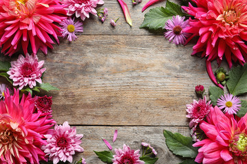 Flat lay composition with beautiful dahlia flowers and space for text on wooden background