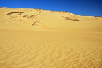 Fototapeta na wymiar Sahara desert. Egypt